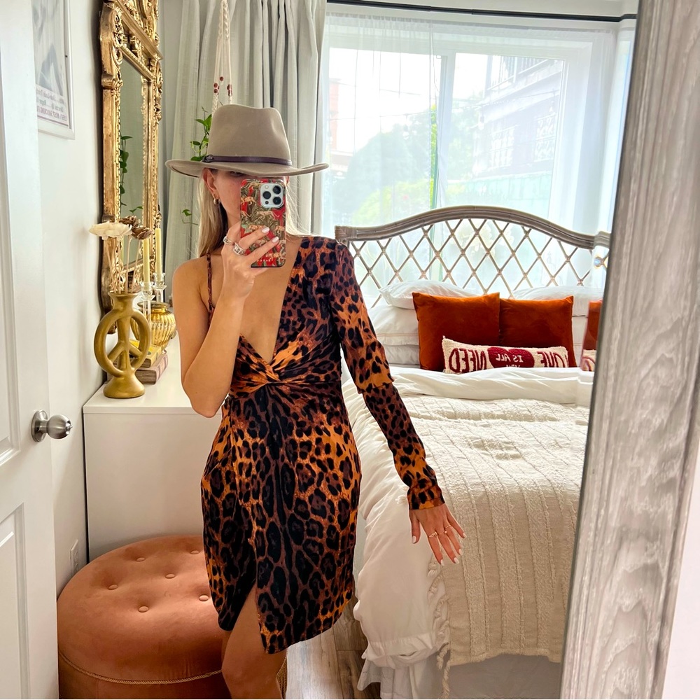 Leopard Print Mini Dress
